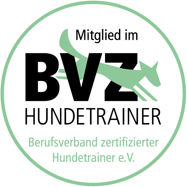 BVZ